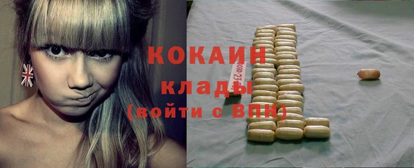 шишки Алексин