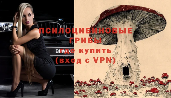 шишки Алексин