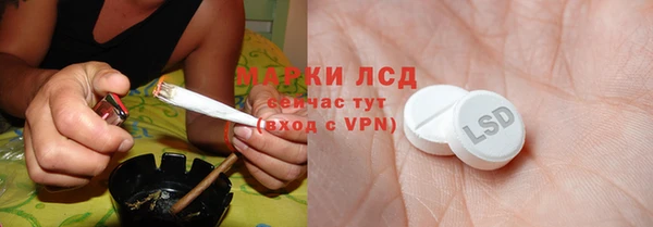 прущий лед Алзамай